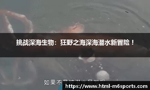挑战深海生物：狂野之海深海潜水新冒险 !